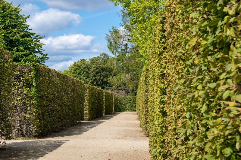 Labyrinth Stroll